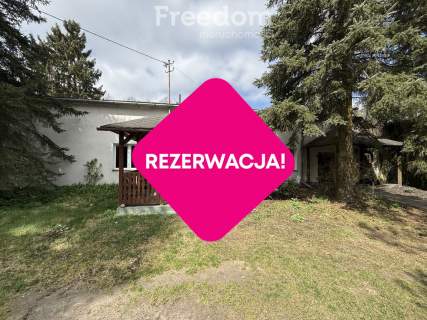 Siedlisko w Stajęczynach na dużej działce