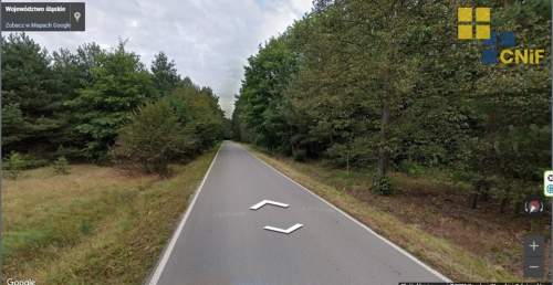 Skrajnica - zalesiony teren budowlano-rolny
