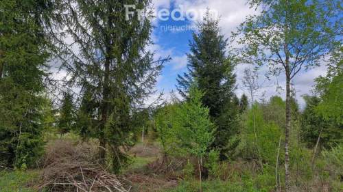 Twoje miejsce ciszy 750m od jeziora Warmia Mazury