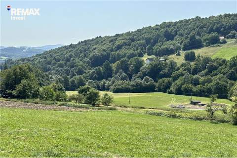 Prywatny las 3331 m2 - Twoja przestrzeń w naturze