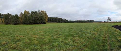 Działka rolna o powierzchni 2581m2, Strzałków, gm. Lisków