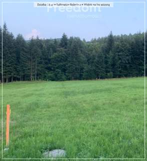 Działka w górach z linią lasu