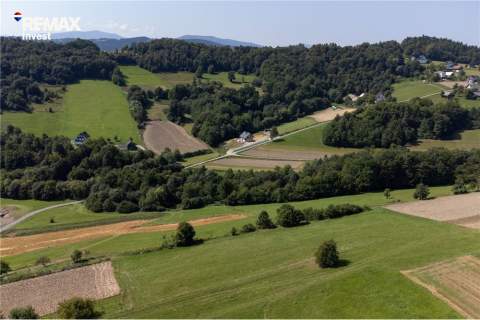 Prywatny las 3331 m2 - Twoja przestrzeń w naturze