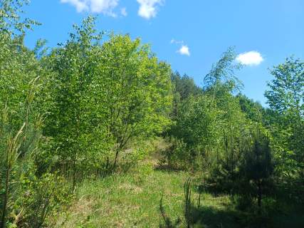 Działka 7656 m2