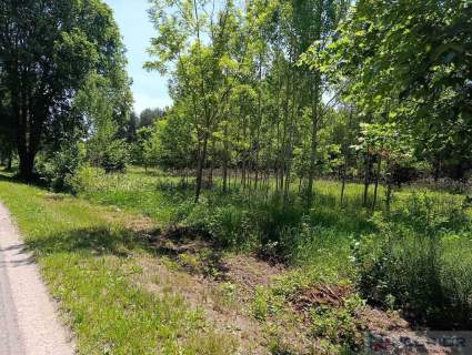 Działki budowlane z warunkami zabudowy 130zł/m2