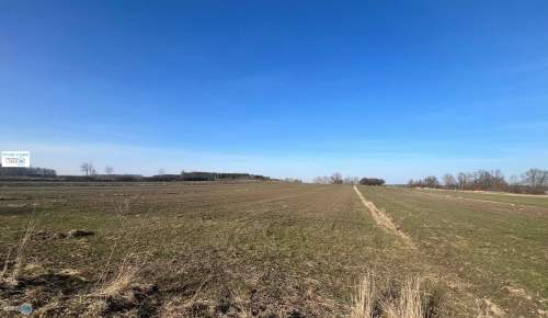 Działka rolna z możliwością zabudowy okolice Buska