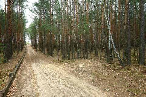 Działki pod przyszłe inwestycje Warszawa Wesoła