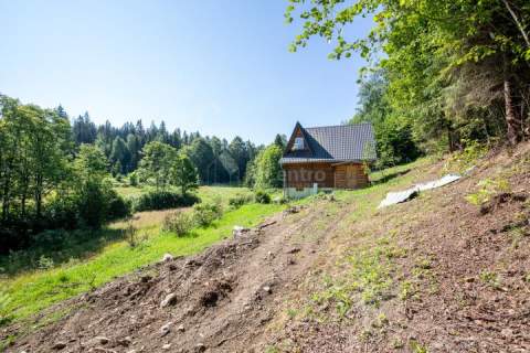 Dom jednorodzinny ok. 100m2., działka 1700m2.