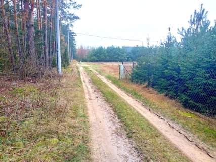 Działka budowlana z lasem