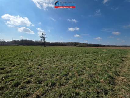 Dom na sprzedaż, 13800 m2, Konary