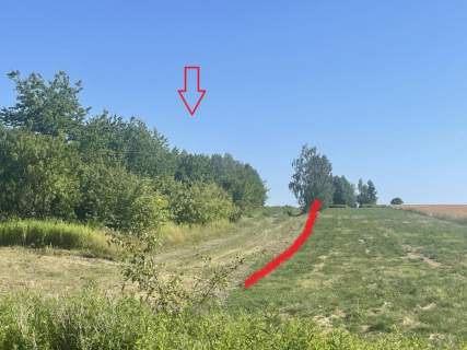 Niwa Działka rolno-budowlana 1,75 ha Puławski