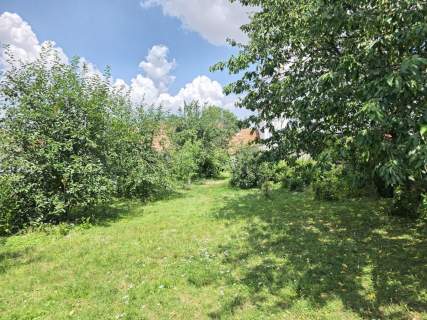 1/2 domu z dużym ogrodem Taczalin k/Legnicy