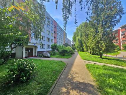 2 pokoje z loggią I ul. Siewna I jasna kuchnia
