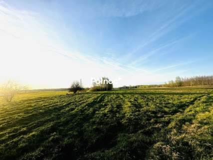 Działka rolni-budowlana 2,95h Żalin, gm. Ruda-Huta