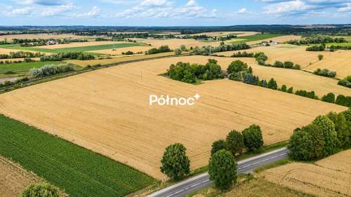 1 ha pola w granicach miasta Hrubieszów