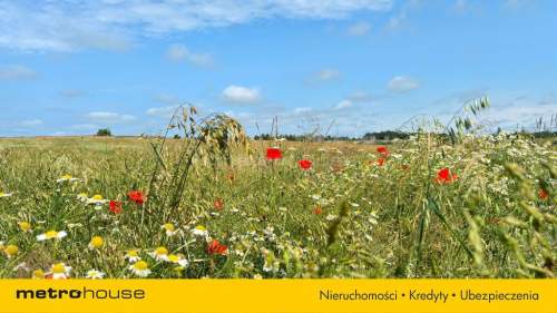 Działka budowlana nad morzem 5,3 km od plaży