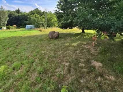 18 arów, Dobranowice. Duża działka w niskiej cenie