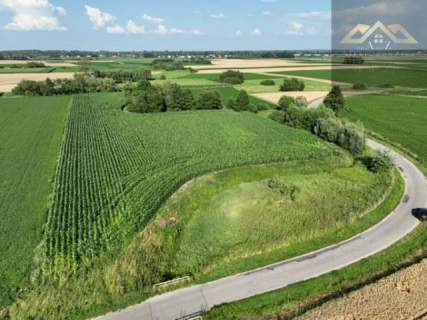 Działka rolna 80 arów w Miechowicach