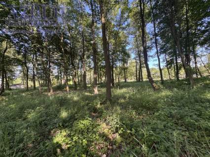 Działka budowlana na sprzedaż, 1709 m2, Rybno Wielkie