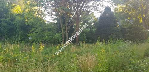  Blisko WKD na dom 2 lokal Media 1600m2 
