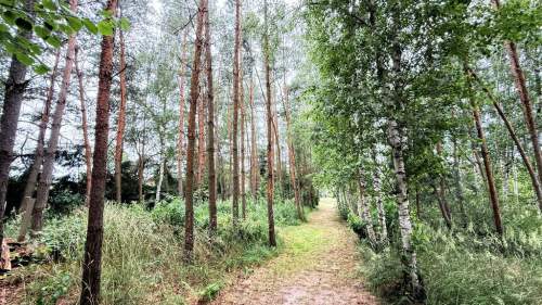 32ar, woda, prąd, ogrodzona-Dziuplina