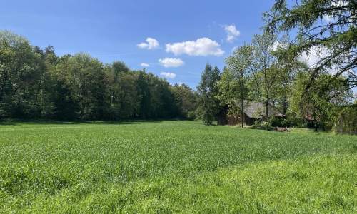 Siedlisko na polanie, pod stadninę lub agroturystykę, 30 min