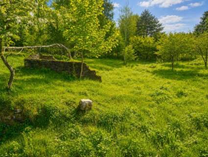 Działka 1700 m2 WZ na 2 Domy Natura Potencjał