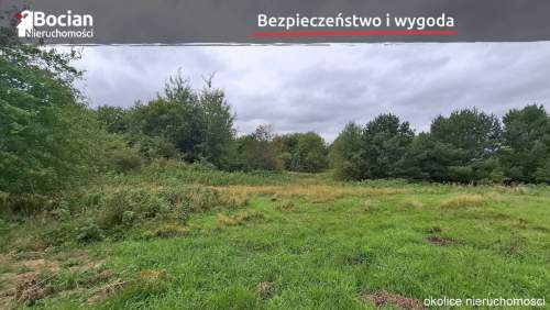 Kompleks działek w Skrzeszewie Żukowskim