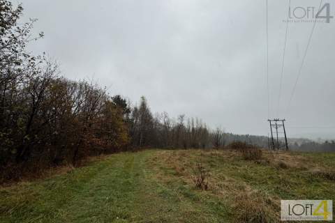 Budżetowa propozycja i/ lub ciekawa inwestycja.