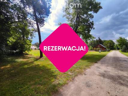 Działka budowlana z własnym lasem 5804 m Hola