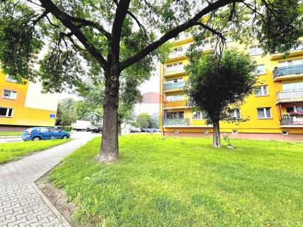 Kawalerka 33,1 m kw ul. Szeroka Zamłynie Radom