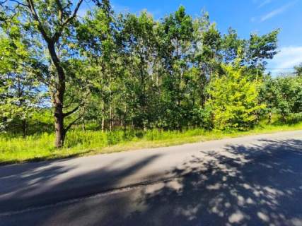 Przestrzeń, luz i natura - wyjątkowa działka w Pyskowicach D