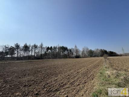 Działki z WZ Bobrowniki Wielkie k/Tarnowa