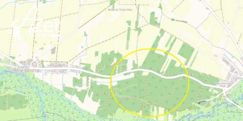 Las mieszany 5,68 ha starodrzew i młoda brzoza