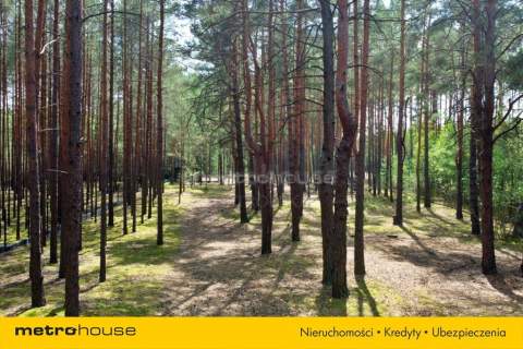 3,12 ha z pozwoleniem na budowę domu
