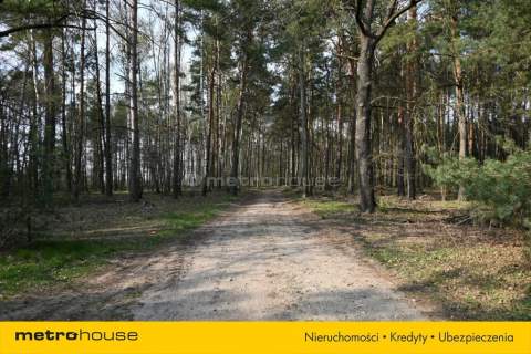 Działka z prywatnym lasem - miejsce na Twój dom