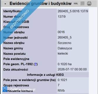 Działka w otoczeniu lasów