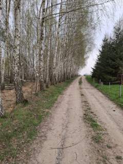 Do sprzedania działka budowlana w Tyczynie