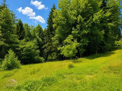 Działka budowlana 1161 m Milówka