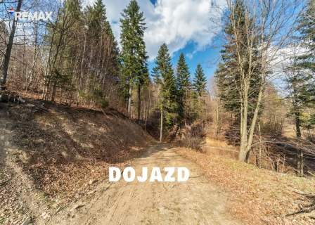 Wisła - Gościejów działka z widokiem