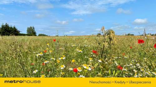 Działka budowlana nad morzem 5,3 km od plaży