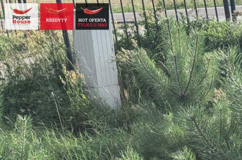 Żuromino słoneczna działka nad jeziorem