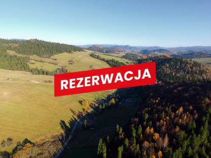 Działka rolno-budowlana w Łapszach Niżnych