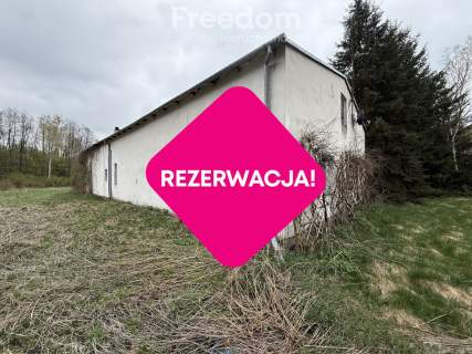Siedlisko w Stajęczynach na dużej działce