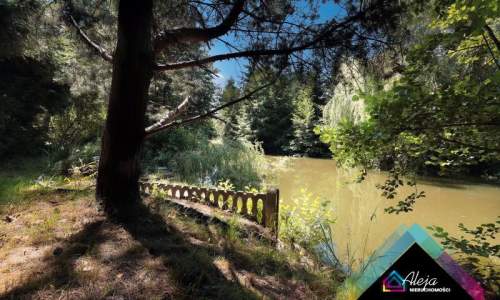 Oryginalny dom ze stawem i lasem ok 6300m2 działki