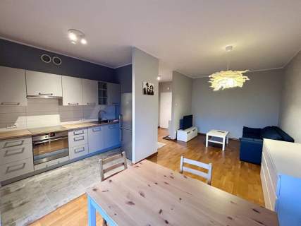 Mieszkanie do wynajęcia, 45 m2, Poznań