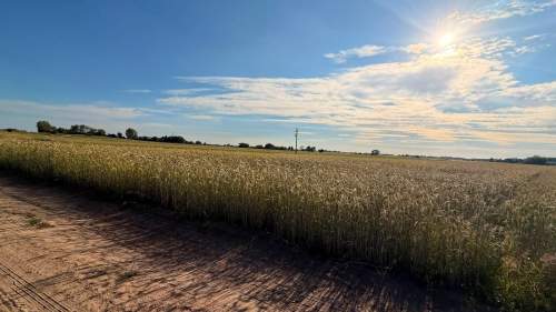 PIOTROWICE 79 ARÓW MPZP