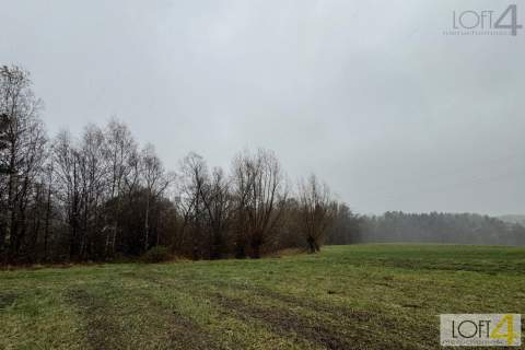 Budżetowa propozycja i/ lub ciekawa inwestycja.