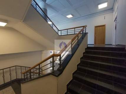 Śródmieście lokal biurowy 15,80 m2 do wynajęcia