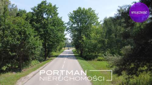 Działka w Dobrzyńcu 15 200 m2